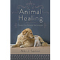 Llewellyn Worldwide Animal Healing: Hands-On Holistic Techniques - by Niki J. Senior