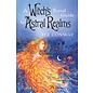 Llewellyn Publications A Witch's Travel Guide to Astral Realms - by D. J. Conway