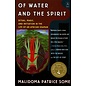 Penguin Books Of Water and the Spirit: Ritual, Magic and Initiation in the Life of an African Shaman - by Malidoma Patrice Some