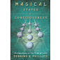 Llewellyn Publications Magical States of Consciousness: Pathworking on the Tree of Life - by Melita Denning and Osborne Phillips