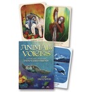 Llewellyn Publications Animal Voices Oracle: Connecting with Our Endangered Friends