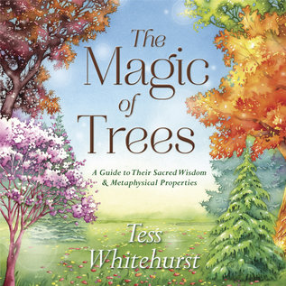 Llewellyn Publications The Magic of Trees: A Guide to Their Sacred Wisdom & Metaphysical Properties - by Tess Whitehurst