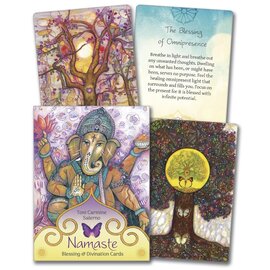 Llewellyn Worldwide Namaste Blessing & Divination Cards by Toni Carmine Salerno