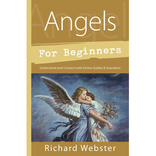 Llewellyn Worldwide Angels for Beginners: Understand & Connect With Divine Guides & Guardians - by Richard Webster