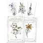 Llewellyn Worldwide Hedgewitch Botanical Oracle - by Siolo Thompson