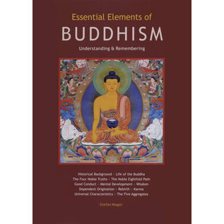 Llewellyn Publications Essential Elements of Buddhism Guide: Understanding and Remembering - by Stefan Mager