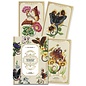 Llewellyn Worldwide Enchanted Blossoms Empowerment Oracle - by Carla Morrow