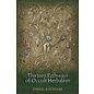 Three Hands Press Thirteen Pathways of Occult Herbalism - by Daniel A. Schulke