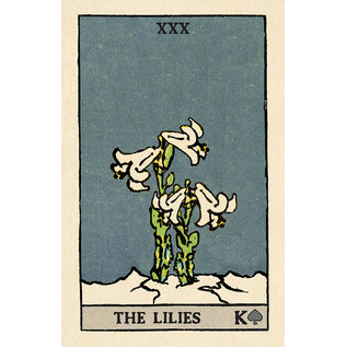 U.S. Games Systems Pixie's Astounding Lenormand - by Edmund Zebrowski