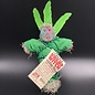 New Orleans Swamp Witch Voodoo Doll in Green