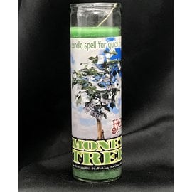 Money Tree 7-Day Candle