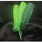 Green Feather Quill Pen
