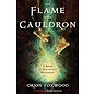 Red Wheel Weiser Books Flame in the Cauldron by Orion Foxwood