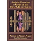 Red Wheel Weiser Books Angels, Demons & Gods of the New Millennium by Lon Milo Duquette