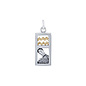Aquarius Pendant