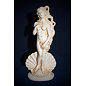 Aphrodite - Venus Statue