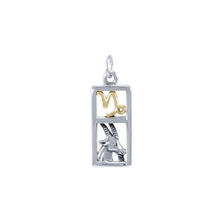Aquarius Pendant
