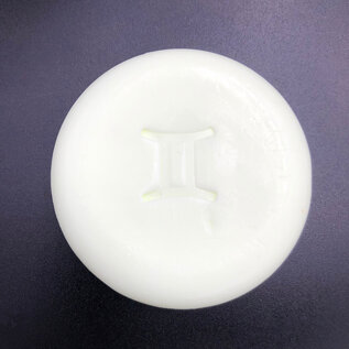 Zodiac Soap - Gemini