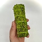 Smoke Spells Smudge Wand: Blue Sage with Patchouli Resin
