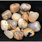 Stone Spinner Dendritic Agate
