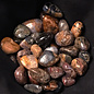 Petersite