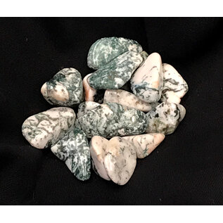 Stone Spinner Tree Agate