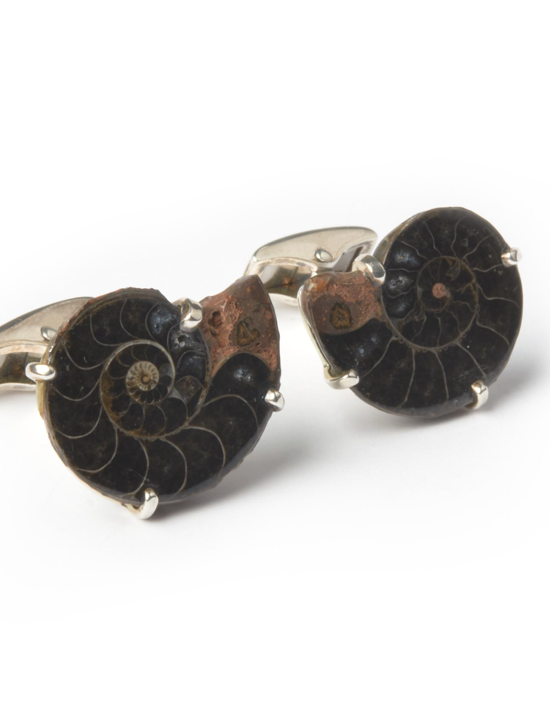 Sterling Silver Medium Madagascar Ammonite Cufflinks