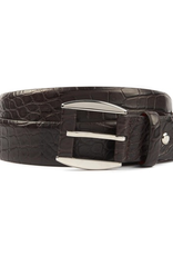 Alligator Belt with Leather Detail on Buckle