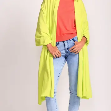 Lemon Faux Translucent Fleece Lined Tights L-5253 - Main Street Clothing  Company