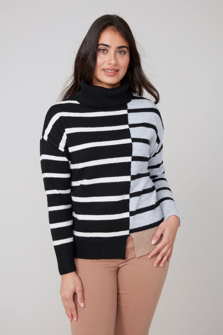 Renuar Renuar Striped Colourblock Turtle Neck Knit Sweater R6945