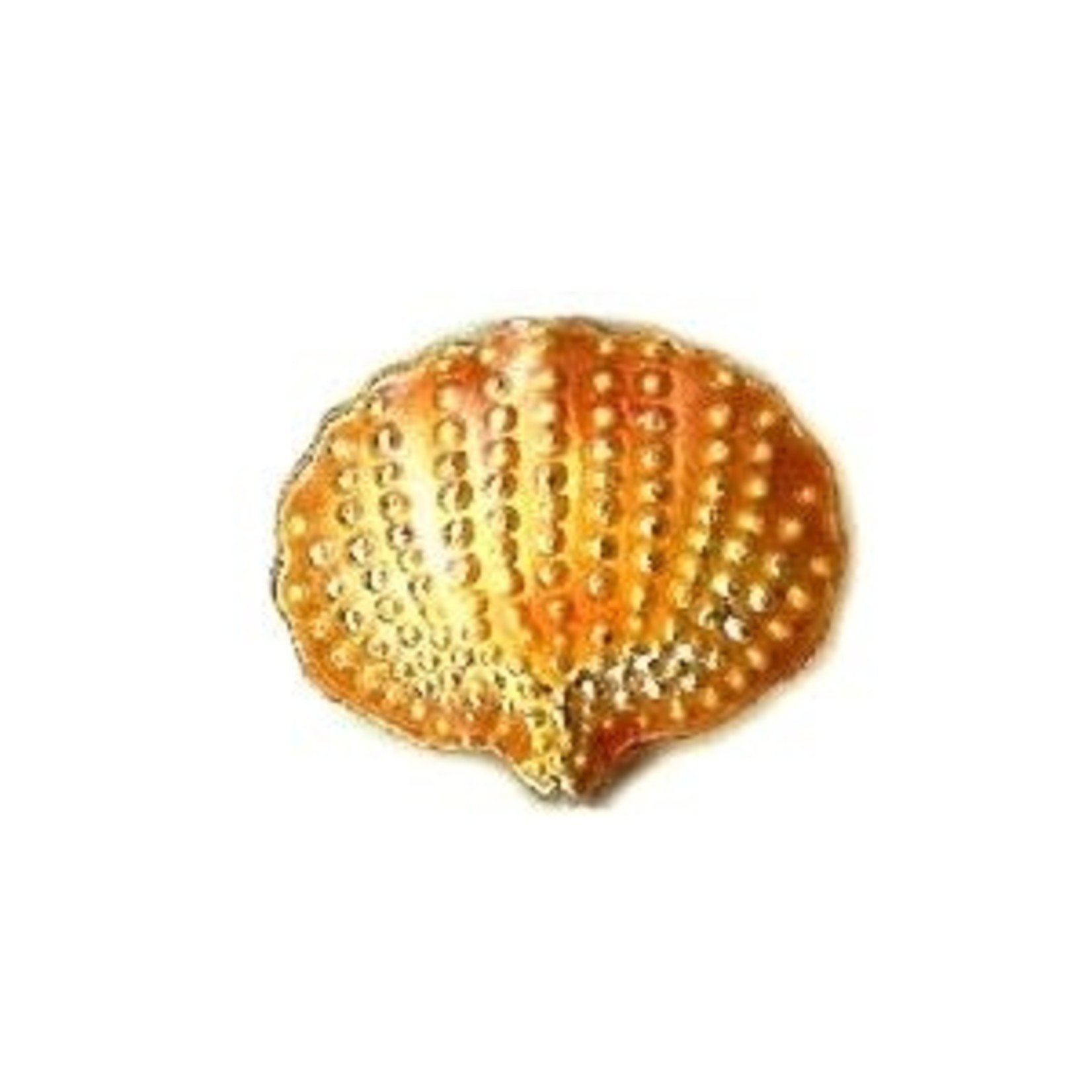 Cloisonne Shell Bead - Rust