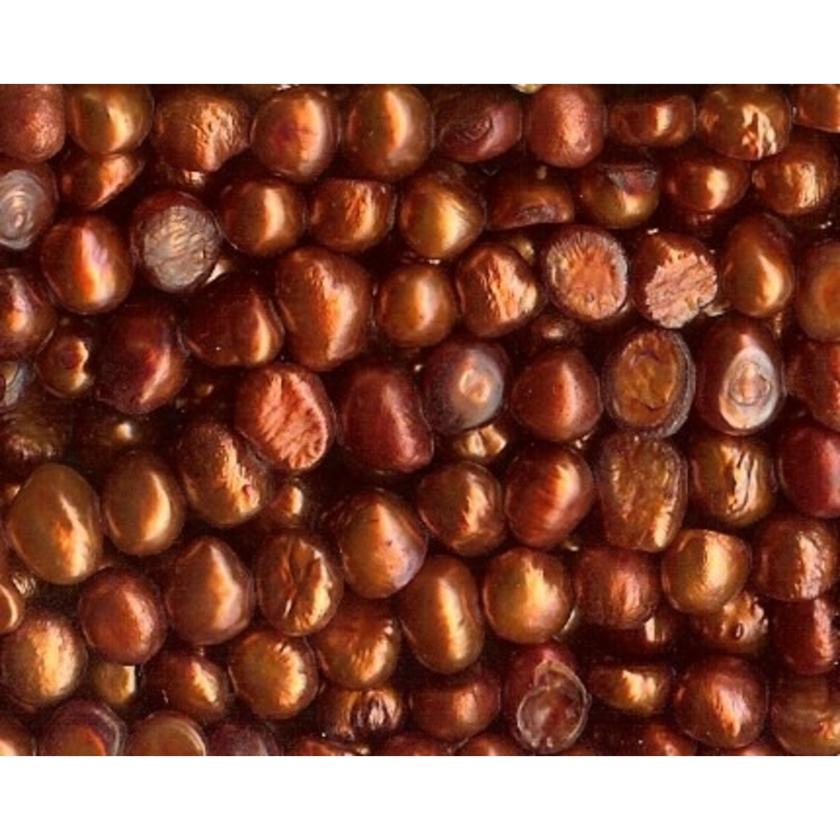 Freshwater Pearl Strand - Coppery