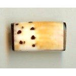 Conus Spotted Rectangle Bead 28x15mm