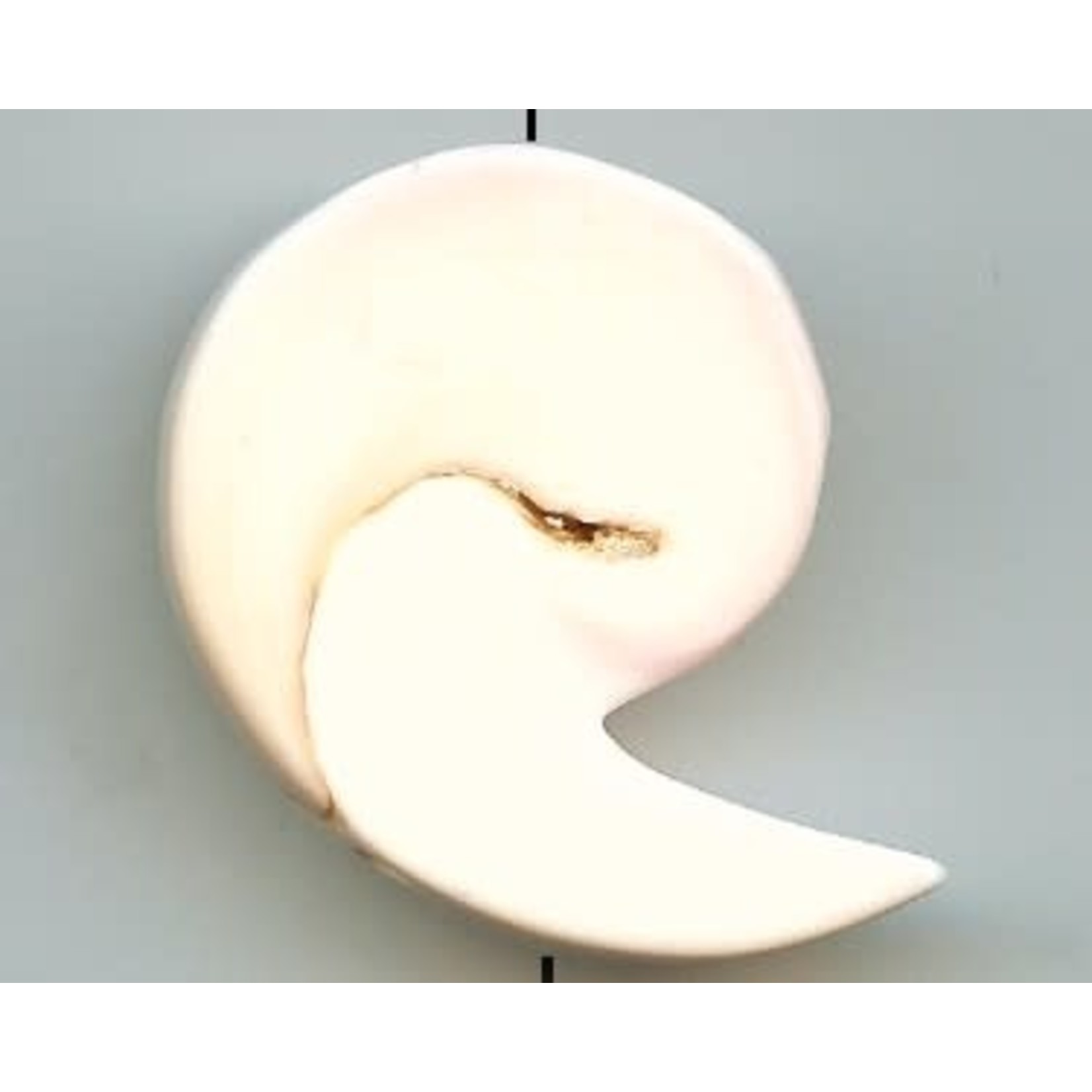 Conch Shell Comma Bead 32x38mm