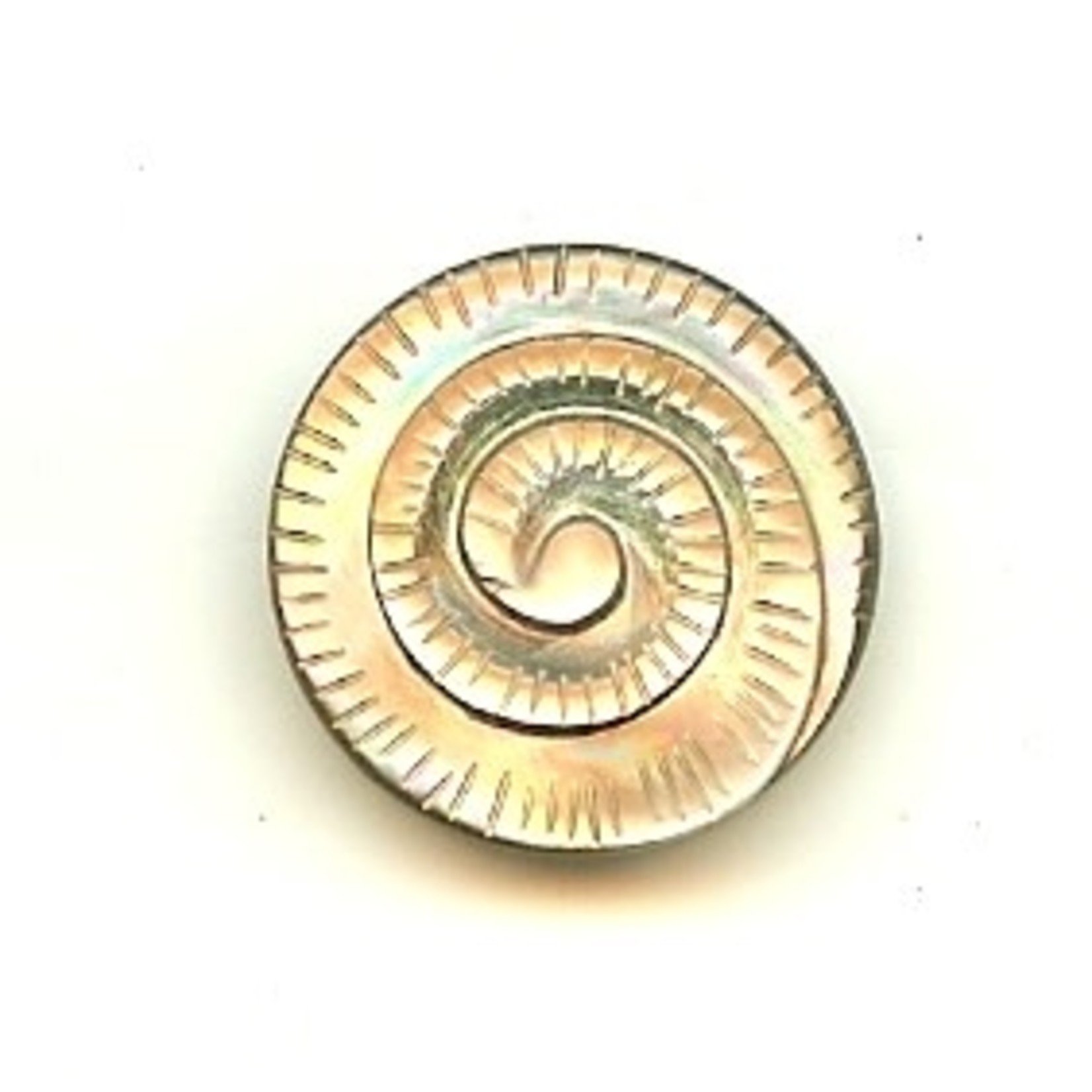 Carved Mother of Pearl Spiral - Black - 20mm