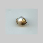Tibetan Brass Capped  8mm Pearl Bead