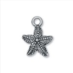 Starfish Pewter Charm