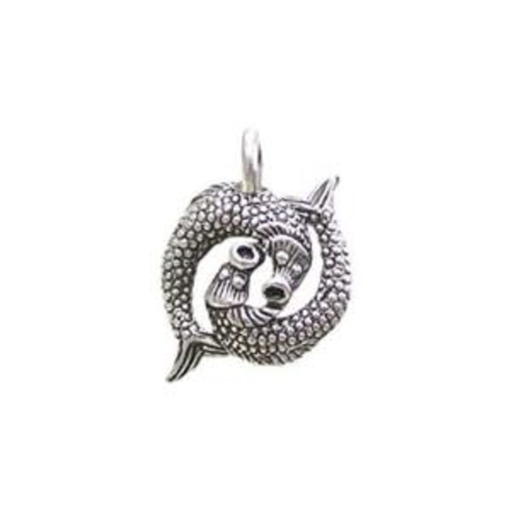 Pisces Zodiac Pewter Charm