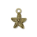 Starfish Gold Plated Charm