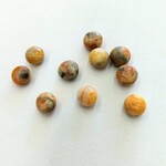 Yellow Crazy Lace Agate 6mm Coin Bead