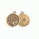 Capricorn Brass Zodiac Charm