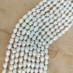 Freshwater Pearls  8-10x7mm White Bead Strand