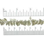 Antique Silver Leaves Chain - 1"