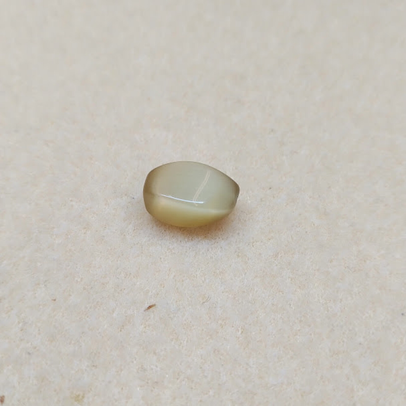 Cat's Eye 15x9mm Spiral Cream Bead