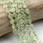 Prehnite  6mm Faceted Hexagonal Coin Bead Strand