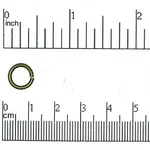 Antique Brass 10mm 15ga Open Jump Ring - 10 pieces