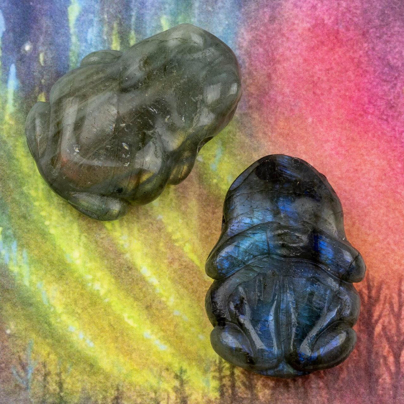 Blue Labradorite Carved Frog 24x36mm Focal Pendant