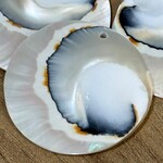Nautilus Shell 31x24mm Pendant