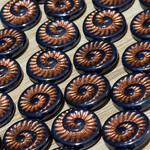 Czech Glass Coin Fossil Nautilus Black and Copper Bead Strand