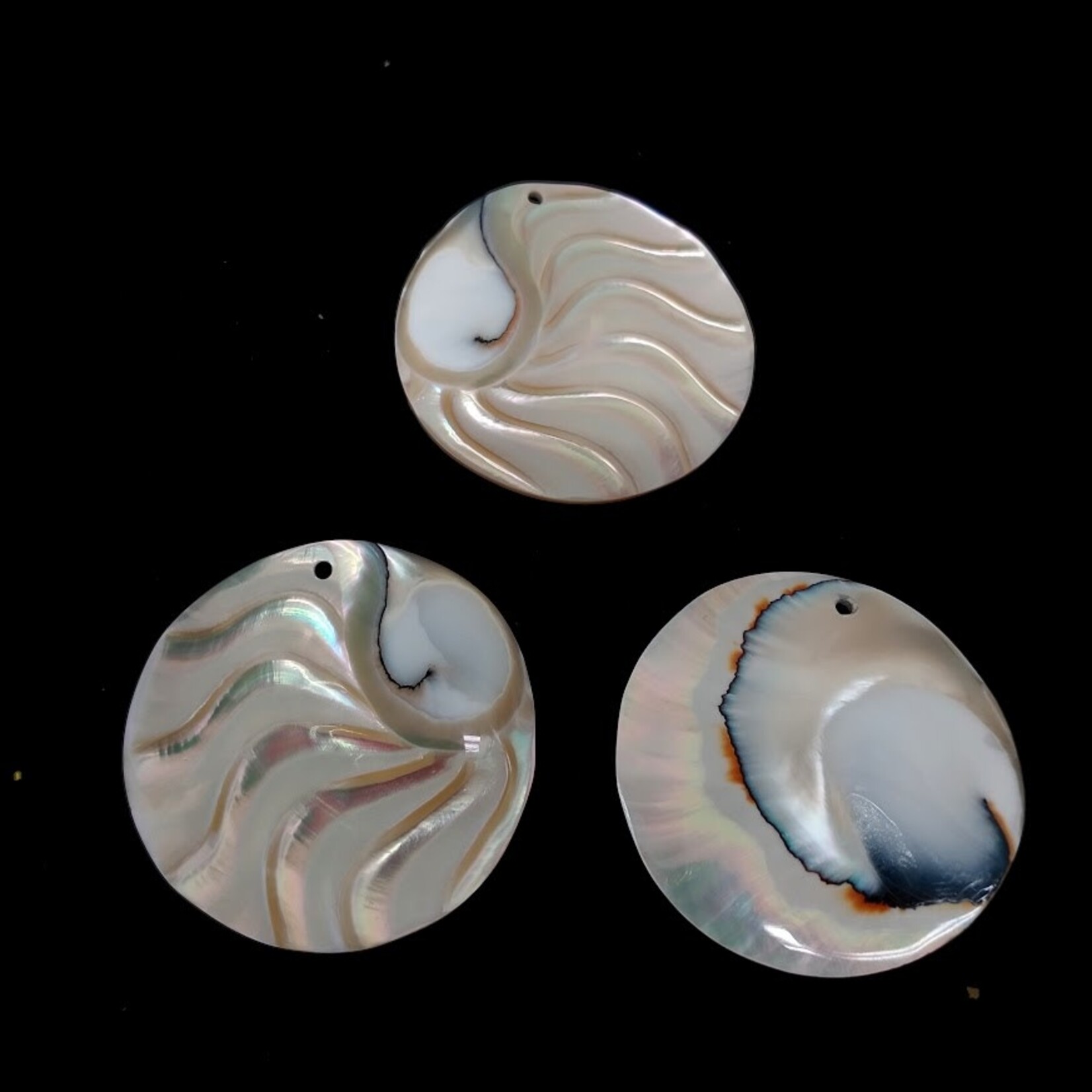 Nautilus Shell 35mm Round Pendant